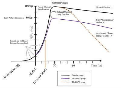 The “Slow Horse Racing Effect” on Lung Function in Adult Life in Chronic Obstructive Pulmonary Disease Associated to Biomass Exposure